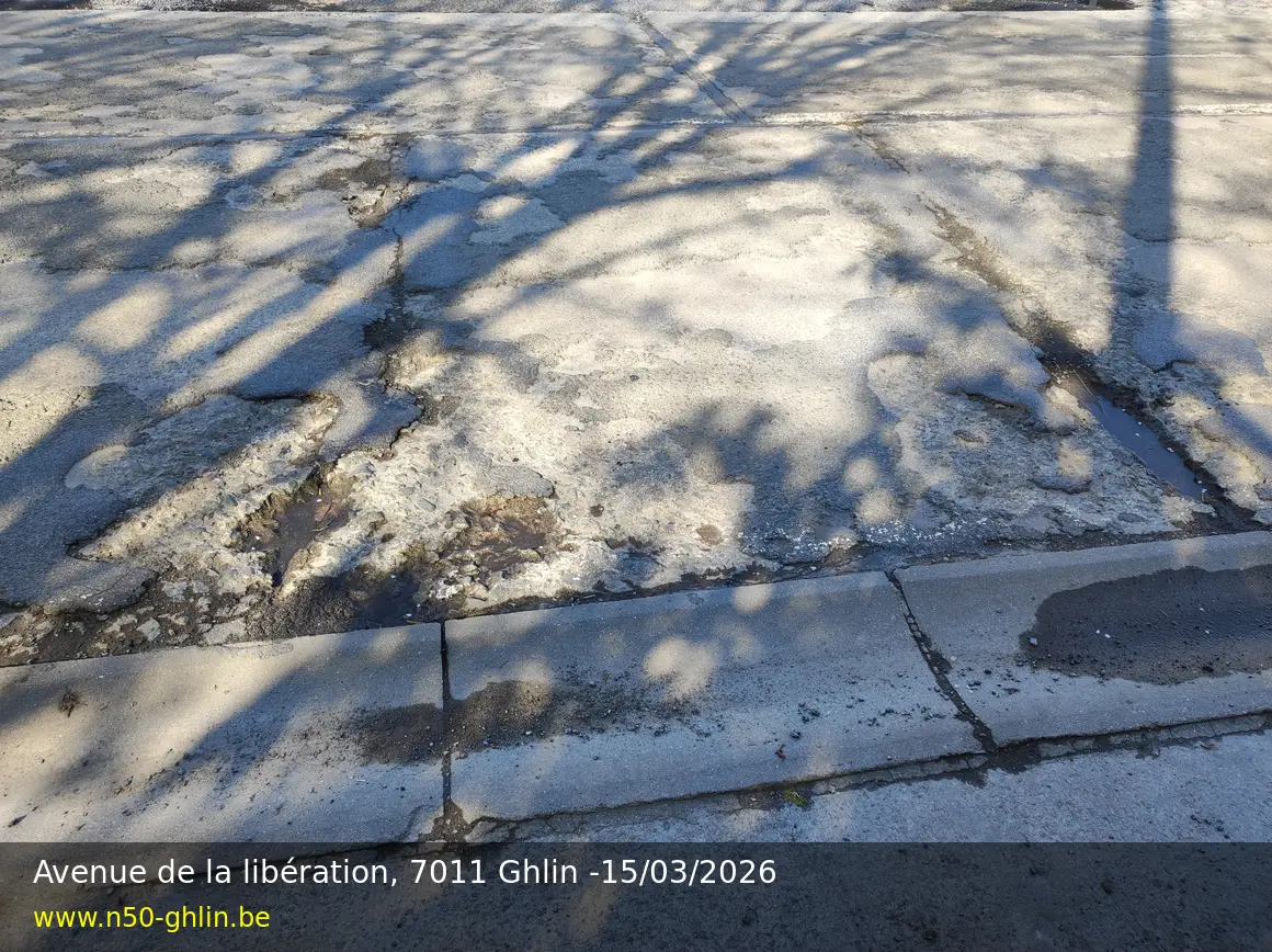 Photographie documentaire de la chaussée - Photo 7 — avenue de la Libération, 7011 Ghlin, 15/03/2026