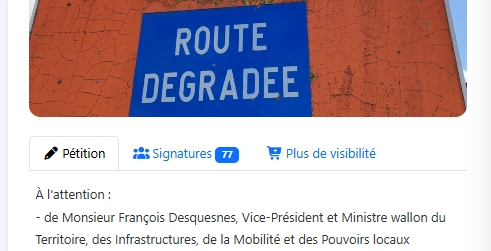 Page de la pétition en ligne « Réhabilitation du tronçon restant de la N50 à Ghlin » sur petitionenligne.be